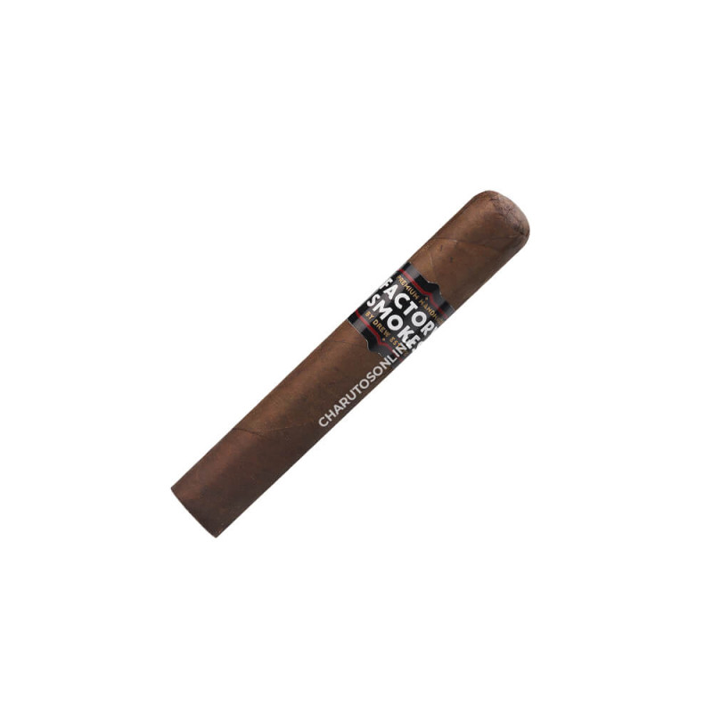 Drew Estate Factory Smokes Robusto Maduro